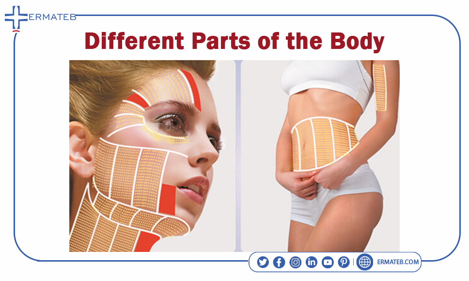 different parts of the body for using HIFU
